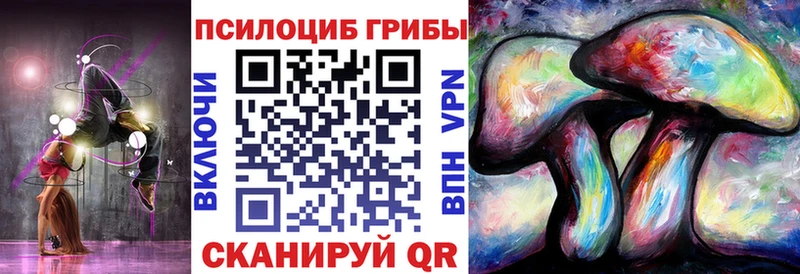 shop клад  Богучар  Галлюциногенные грибы MAGIC MUSHROOMS 